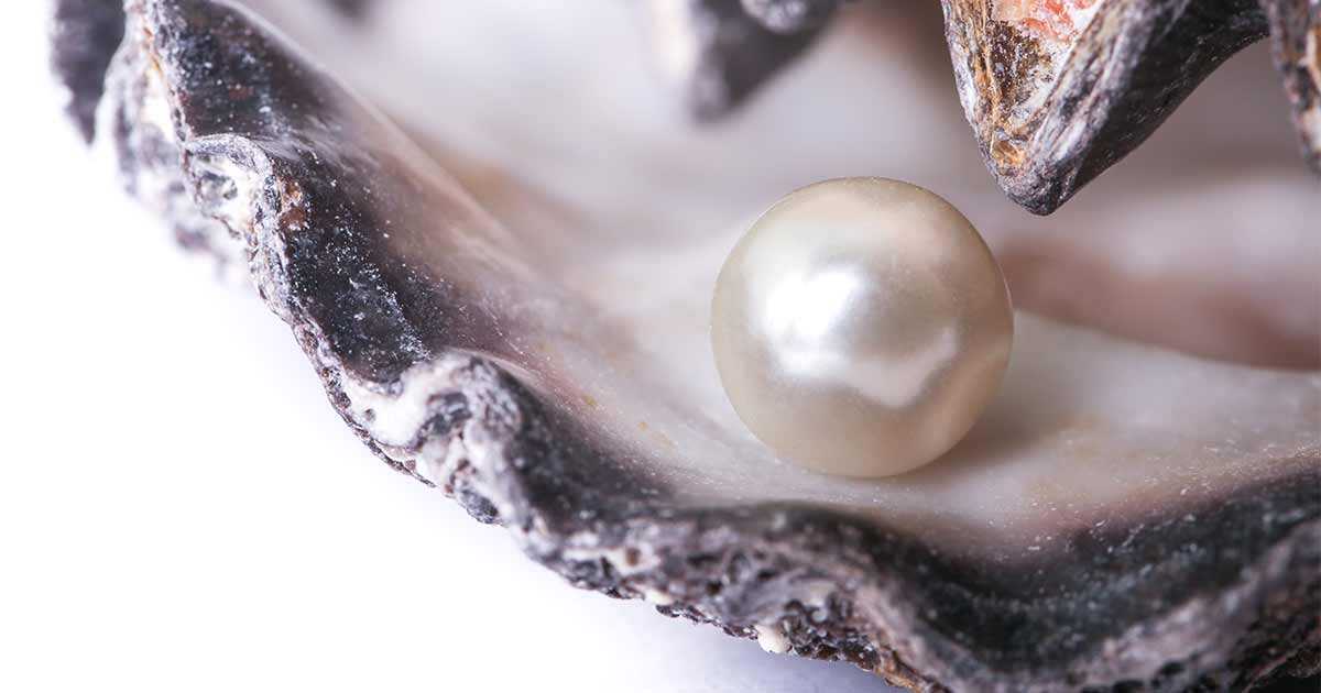 Once We Grow Up We Grow In By Chip Conley