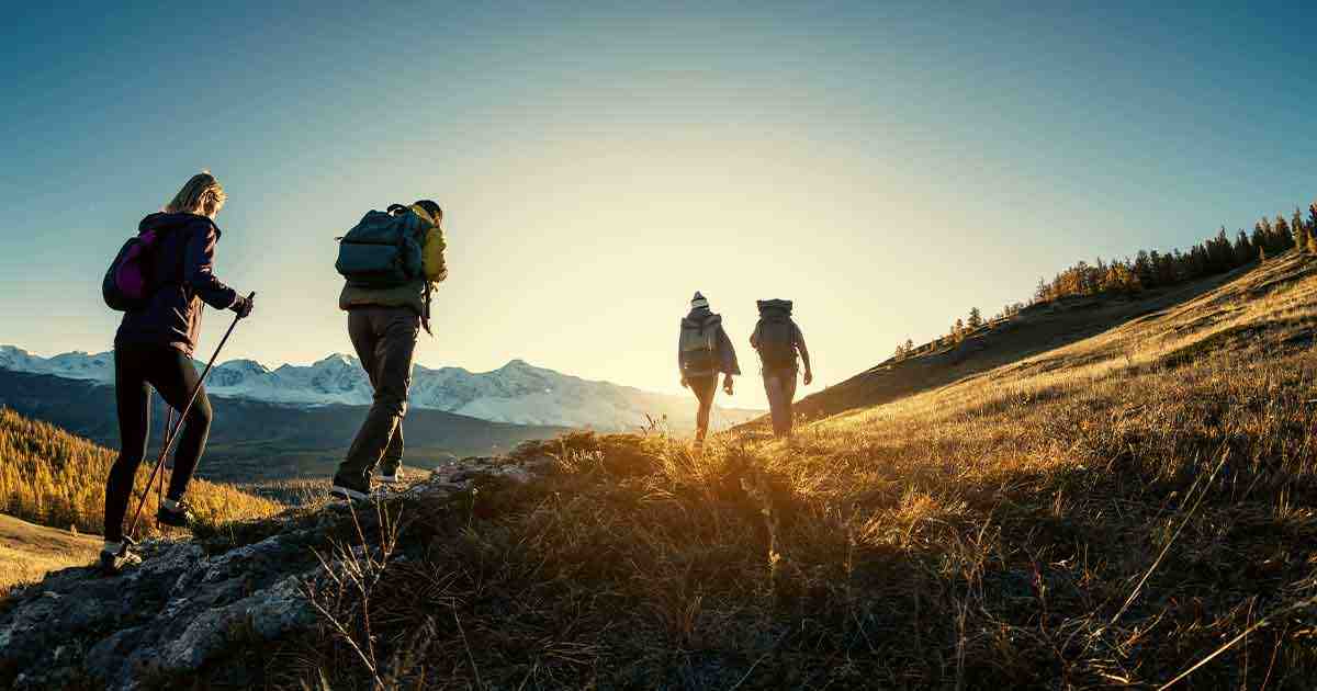 rekindling-connections-through-shared-interests-and-adventures