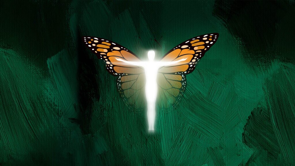 The Transformational Journey of Life. by Chip Conley